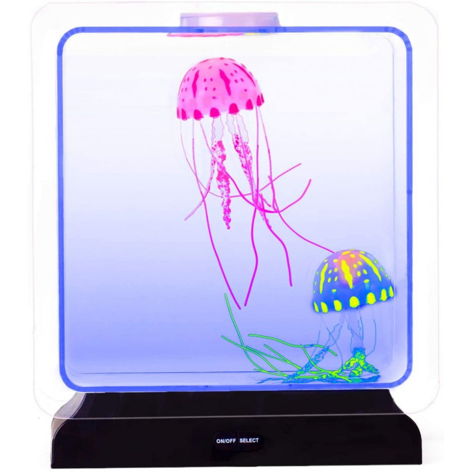 A display of one pink and one blue jellyfish floating in the lamp's tank.