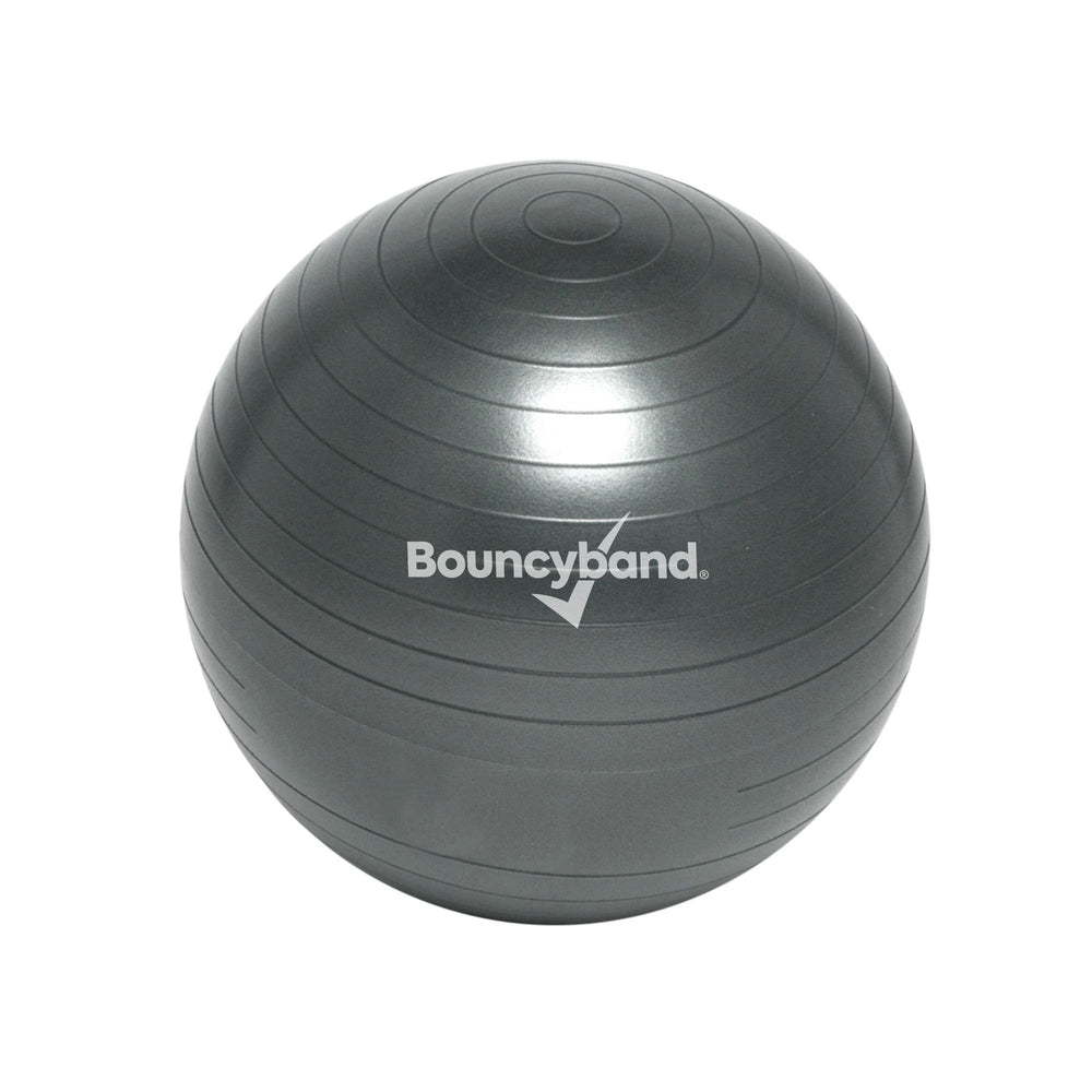 Balance Ball Weighted Seat