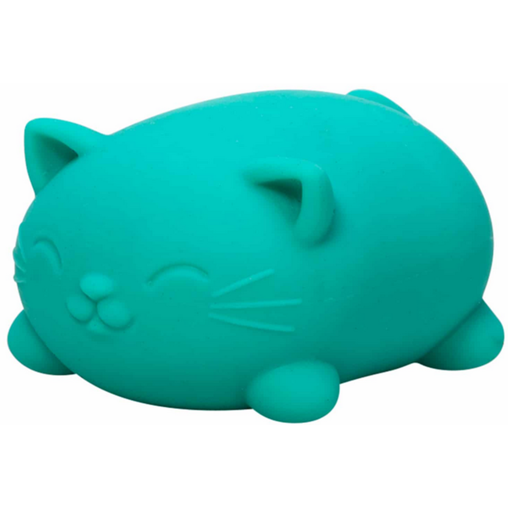 The teal Cool Cat Super NeeDoh.